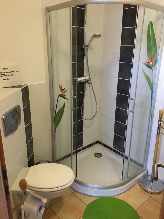 Apartment Ferienwohnung Lama Wiendorf